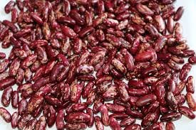 Red Speckled Kidney Beans